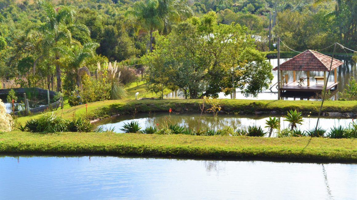 Cresce no Brasil o turismo de imersão rural