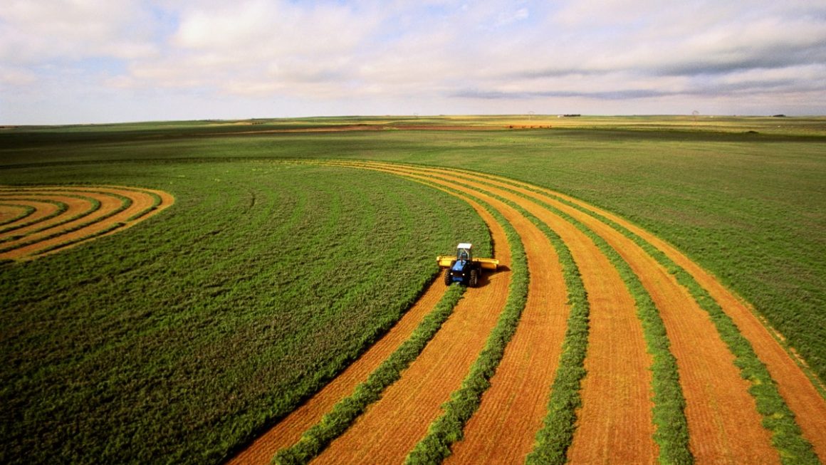 Os desafios do agronegócio em 2023 e o desenvolvimento do setor