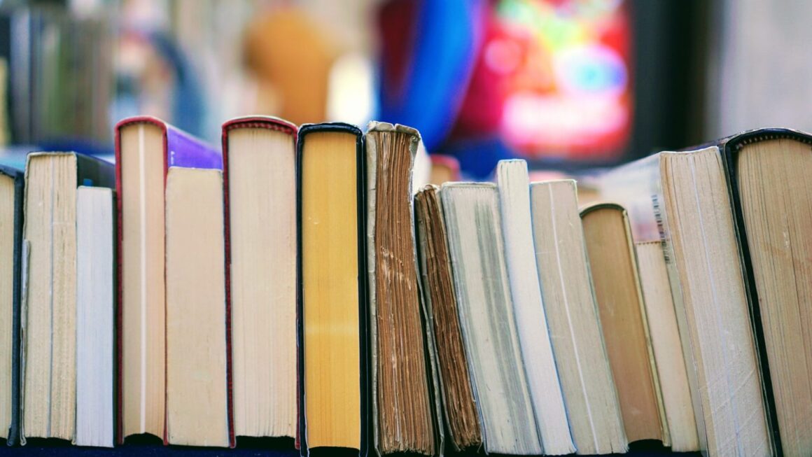 Dia Mundial do Livro: Conheça bibliotecas gratuitas da USP, Unicamp e Unesp