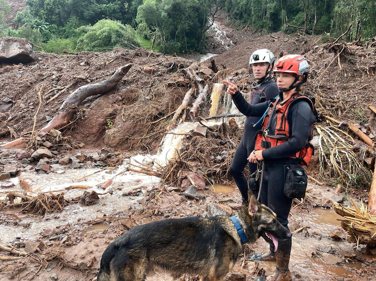 Cães mineiros dão apoio na operação no Rio Grande do Sul (DIVULGAÇÃO / CORPO DE BOMBEIROS). Fonte: R7
