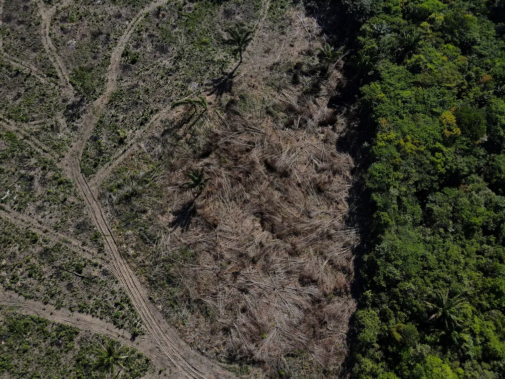 Sobrevoo mostra desmatamento em área da floresta amazônica em Manaus, no Amazonas. — Foto: REUTERS/Bruno Kelly/File Photo. Fonte: Portal G1