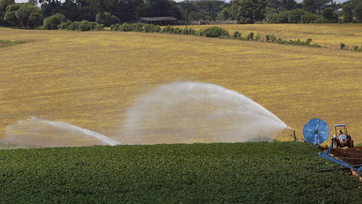 Governador determina lei que cria política de segurança hídrica na agricultura no Paraná