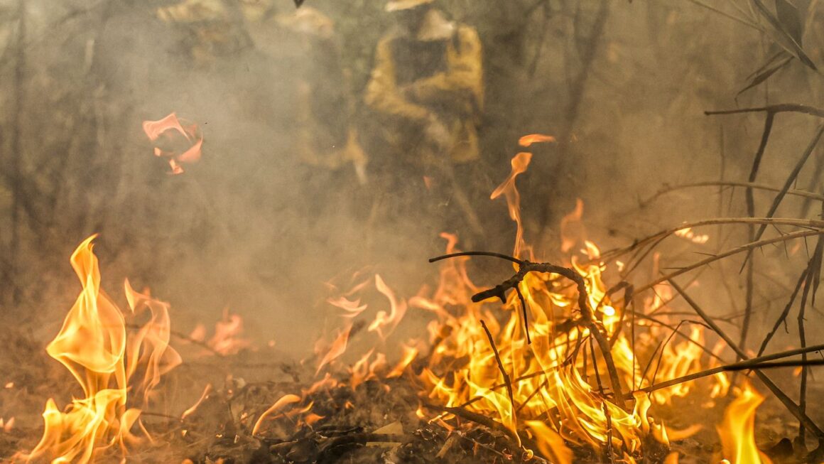 Segundo Marina Silva operação no pantanal conseguiu extinguir 55% dos focos de incêndio