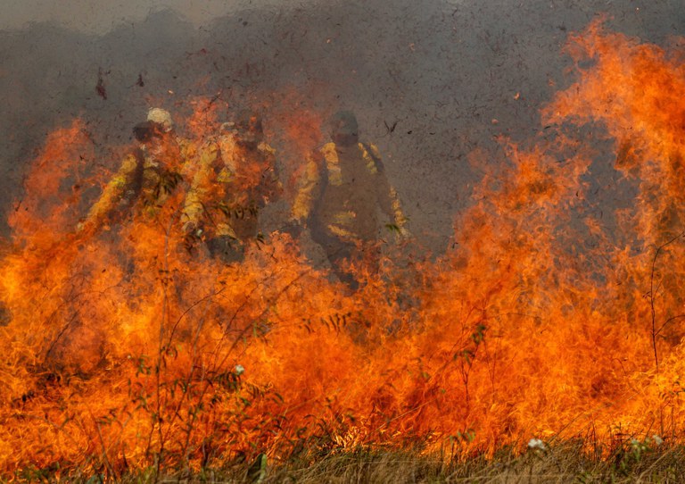 Brigadas do PrevFogo/Ibama realizam manejo do fogo. Joédson Alves/Agência Brasil Fonte: Agência Gov