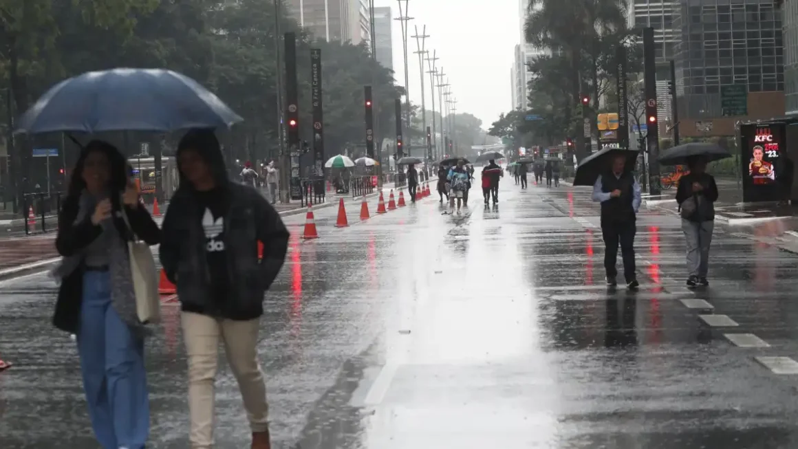 SP: Intensa frente fria do ano fará temperatura despencar; confira a previsão