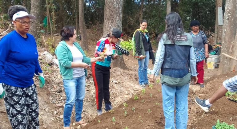 Ação da Prefeitura de BH promove a preservação ambiental e segurança alimentar no Aglomerado da Serra