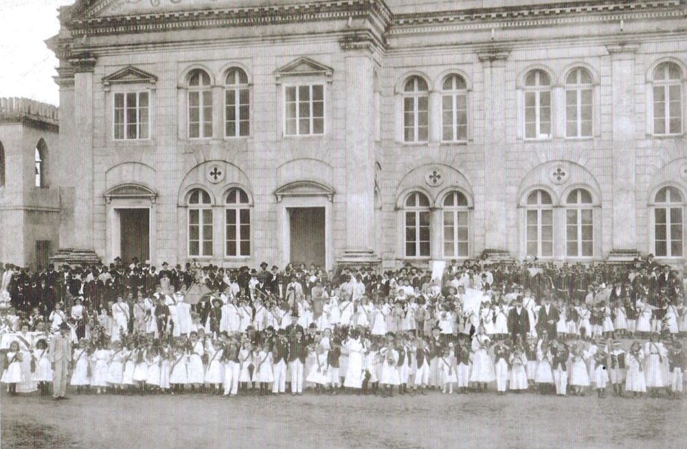 Conheça a história do Dia da Árvore