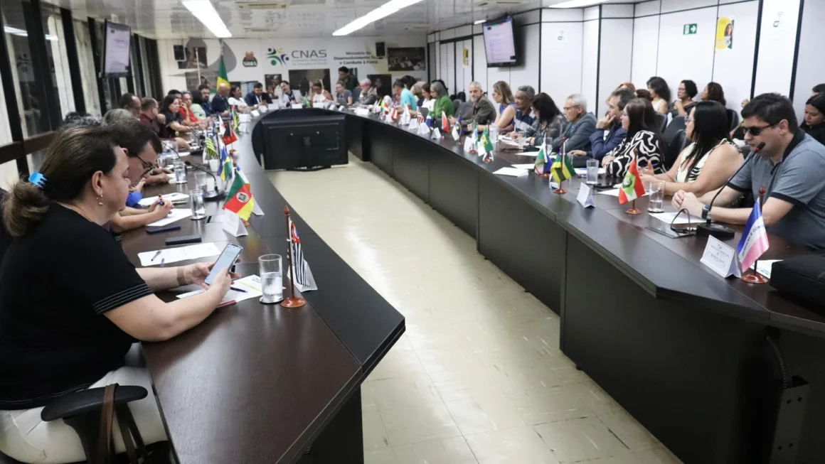 CNAS publica nova resolução e redefine parâmetros para benefícios eventuais no SUAS