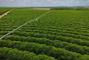 MIDR amplia segurança jurídica para financiamento de obras de irrigação