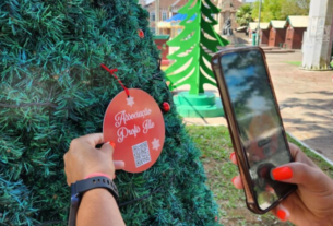Árvore da Solidariedade instalada na Praça da Bandeira incentiva doações a causas sociais em Joinville