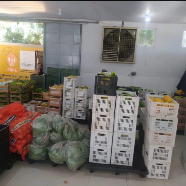 Cáceres conquista 1º lugar estadual no índice de aquisição da Agricultura Familiar e se torna referência para Mato Grosso