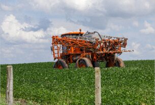 Balsas se consolida como polo de desenvolvimento e integra o crescimento econômico do Maranhão