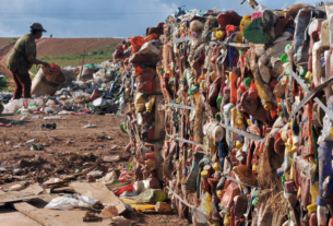 PREFEITURAS | Lei de Incentivo à Reciclagem: MMA abre prazo para submissão de propostas em 2026