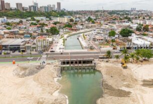 Arborização avança e marca reta final do Renasce Salgadinho, maior obra ambiental de Maceió