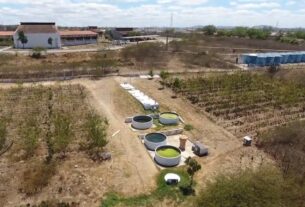 SEGURANÇA HIDRICA | Tecnologia transforma esgoto em água para produzir alimentos no Semiárido