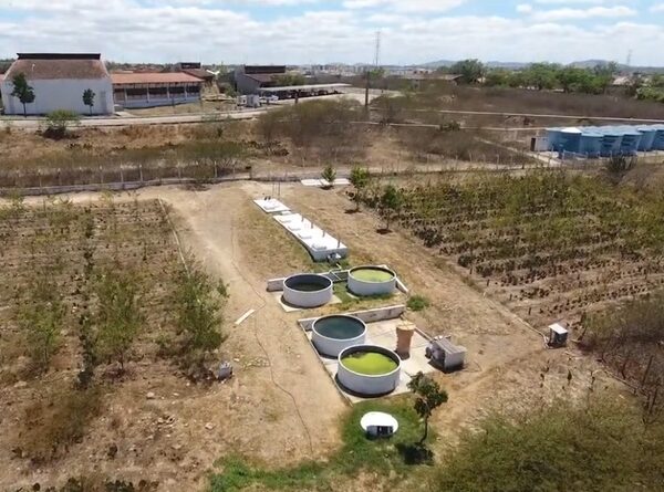 SEGURANÇA HIDRICA | Tecnologia transforma esgoto em água para produzir alimentos no Semiárido