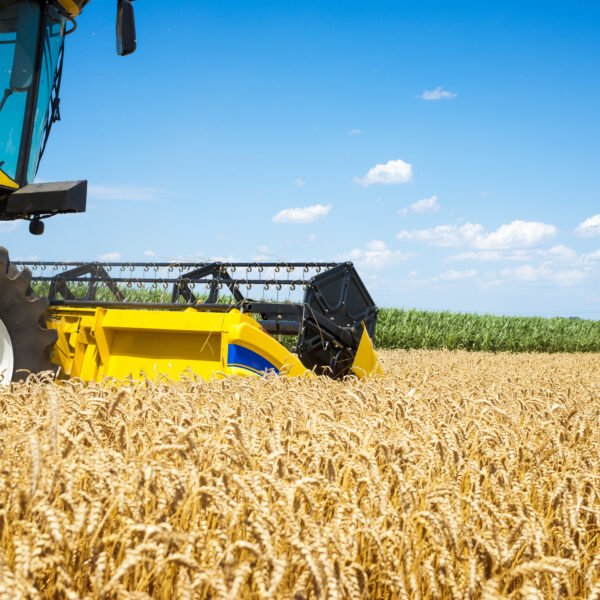 Estradas da Produção: Colheita da Safra 2026 Começa e Prefeitos do Interior Correm para Evitar o “Apagão Logístico”