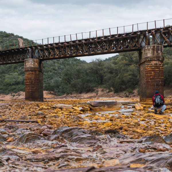 O Caminho do Dinheiro Pós-Tragédia: Erros no Sistema da Defesa Civil (S2iD) Estão Travando o Repasse Federal para Cidades Atingidas