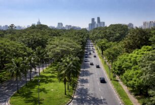 Corredor Verde criado pela Prefeitura no Butantã é reconhecido pela ONU como modelo de política urbana sustentável