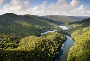 São Paulo registra queda de 29% no desmatamento da Mata Atlântica e alcança menor índice dos últimos anos