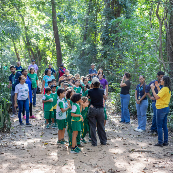 CUIABÁ MT | Semana do Meio Ambiente contará com passeios por trilhas e lançamento do projeto piloto “Pomar nas Escolas”