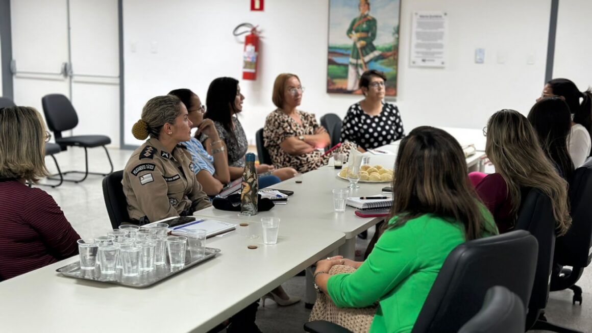 FEIRA DE SANTANA BA | Secretaria da Mulher participa de reunião da Rede de Proteção para planejamento das ações do Agosto Lilás