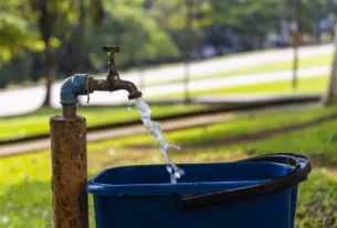 MEIO AMBIENTE SP | Veja como aderir a programa de práticas ambientais em agosto