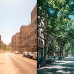 Cidade resiliente: O ArborizaCidades transforma o planejamento urbano em um ativo financeiro e de saúde pública, preparando o município para o clima do futuro e atraindo novos investimentos.