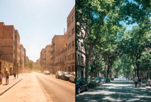 ArborizaCidades: O capital climático como ativo de gestão municipal