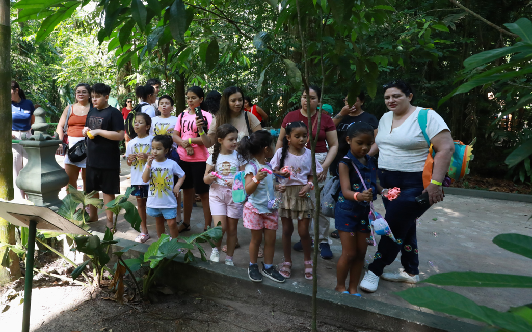 Bosque completa 143 anos como refúgio da Amazônia em Belém