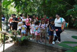 Bosque completa 143 anos como refúgio da Amazônia em Belém