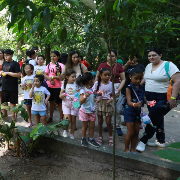 Bosque completa 143 anos como refúgio da Amazônia em Belém
