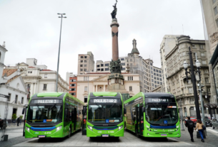 Linhas Paulistar completam um ano com mais de 72 mil passageiros transportados e expansão do serviço gratuito aos domingos