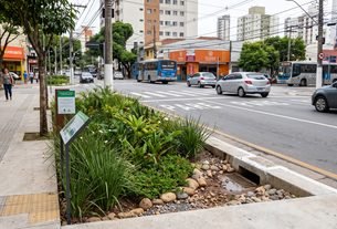 Soluções Baseadas na Natureza (SBN) Contra Enchentes