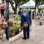 gentes de saúde, veterinários e fiscais ambientais reunidos em ação integrada de Saúde Única (One Health) na comunidade
